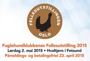 Felleustillingen 2015